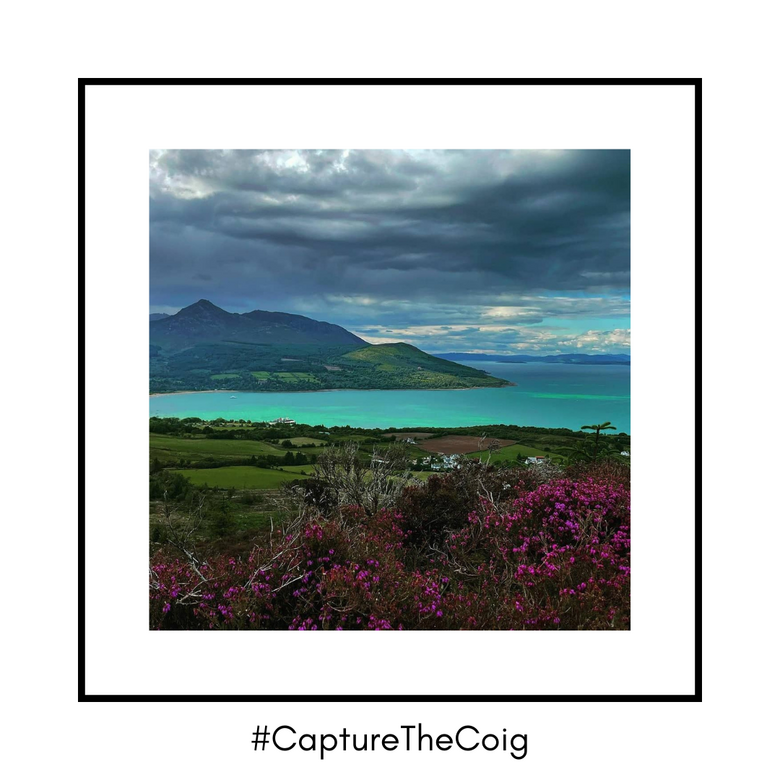 Capture The Coig 8